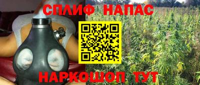 бошки Новокубанск