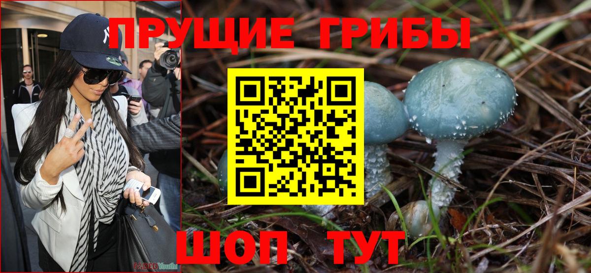Ногинск  Галлюциногенные грибы MAGIC MUSHROOMS  Вход с VPN  хочу   Галлюциногенные грибы Psilocybe 